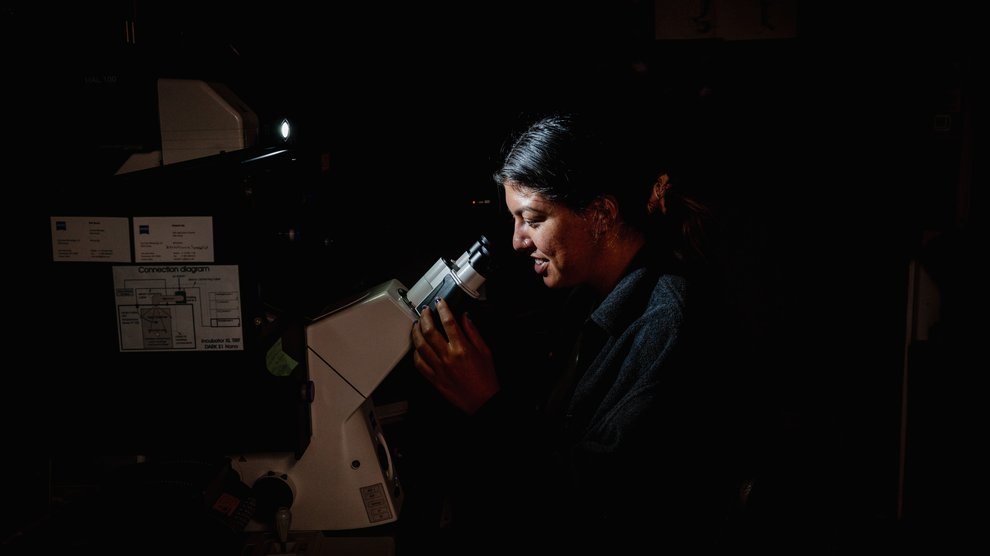 Student looking into microscope.