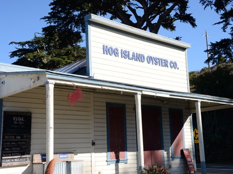 Exterior photo of Hog Island Oyster Company in California