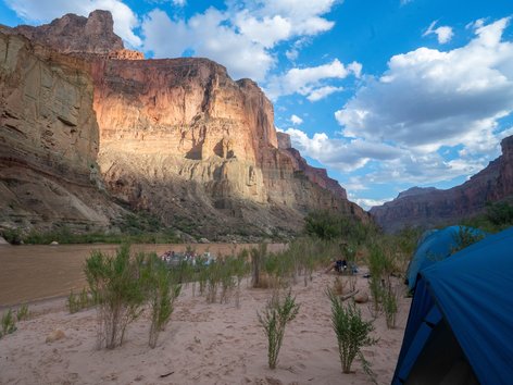 Late afternoon at a campsite along the Colorado River