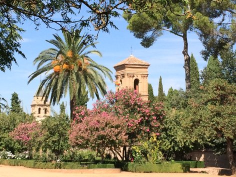 Photo of a garden in Grenada, Spain
