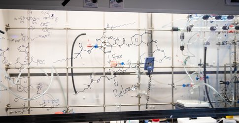 Photo of Lab