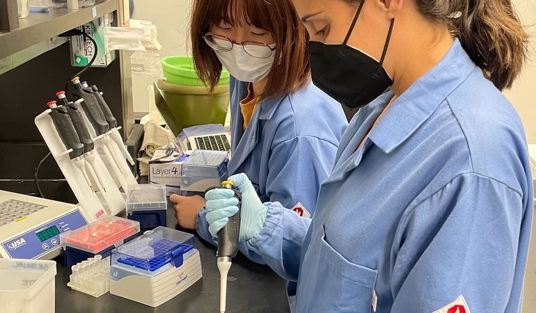 demirer lab