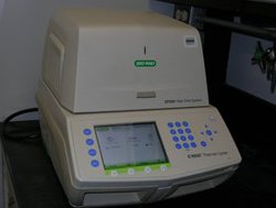 CFX 96 Real-Time PCR Detection System