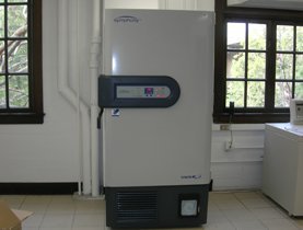 -80°C freezer