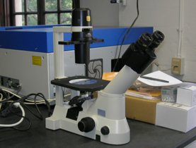 Nikon TS100 Microscope