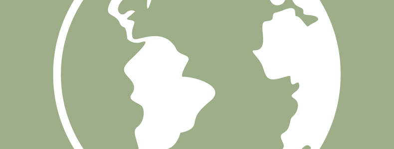 earth icon
