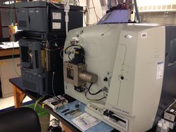 Autoflex MALDI TOF/TOF (Bruker)