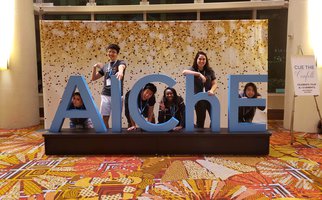 AIChE Members