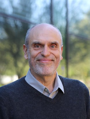 Oscar P. Bruno