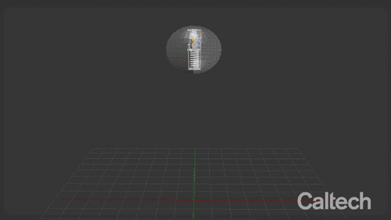 A proposed design for a hopping robot inside a ball. Credit: Aaron Ames/Caltech