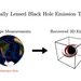 Gravitationally Lenses Black Hole Emission Tomography