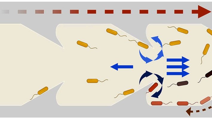 Catheter design