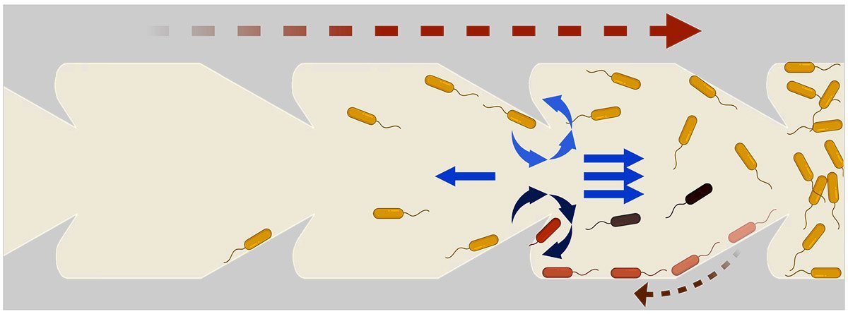 Catheter design