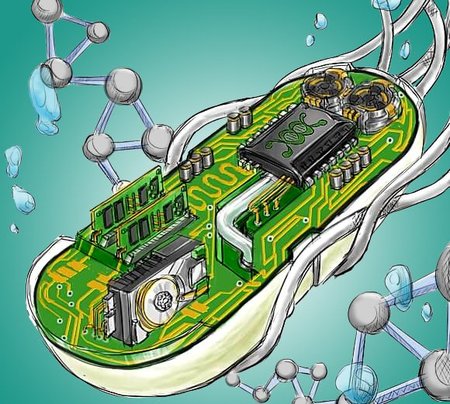 Biological Circuits