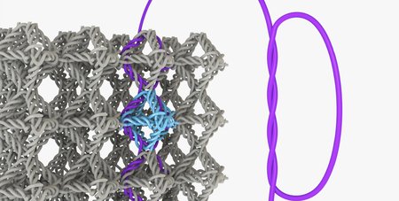Microscale knots