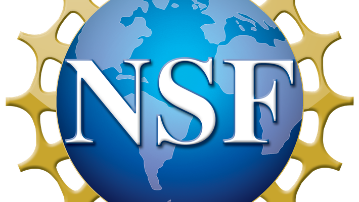 NSF Logo