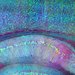Brain Circuits