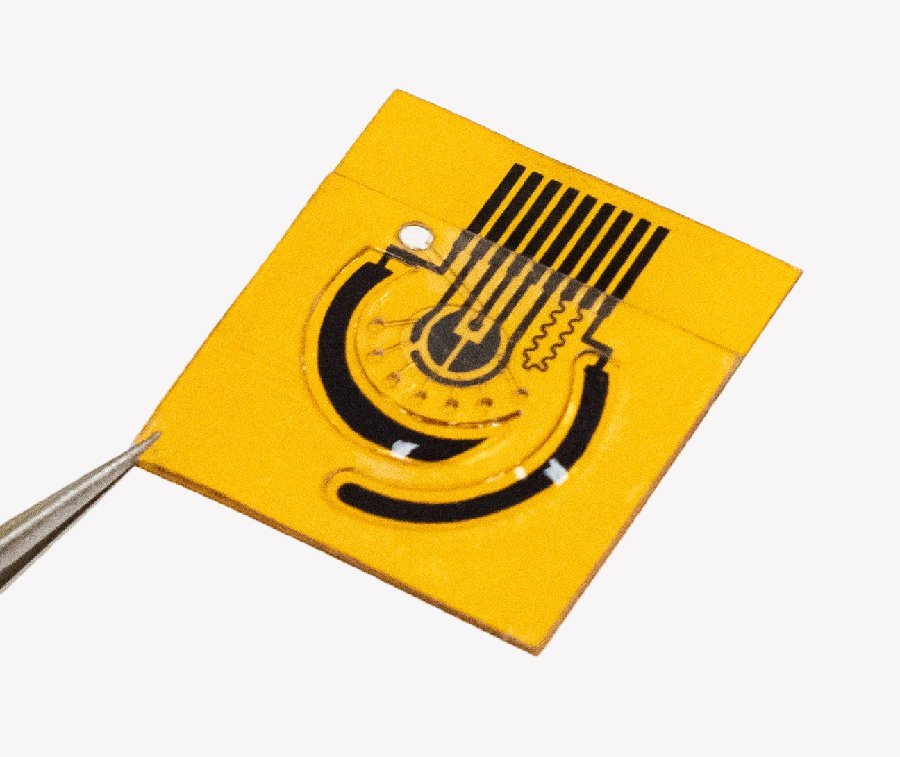 Wearable sweat sensor