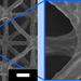 Copper Structure