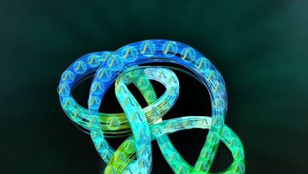 Topological dissipation in a photonic resonator network