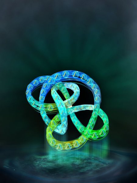 Topological dissipation in a photonic resonator network