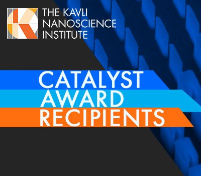 Catalyst Awards