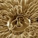 naoartwork-pathak.jpg
