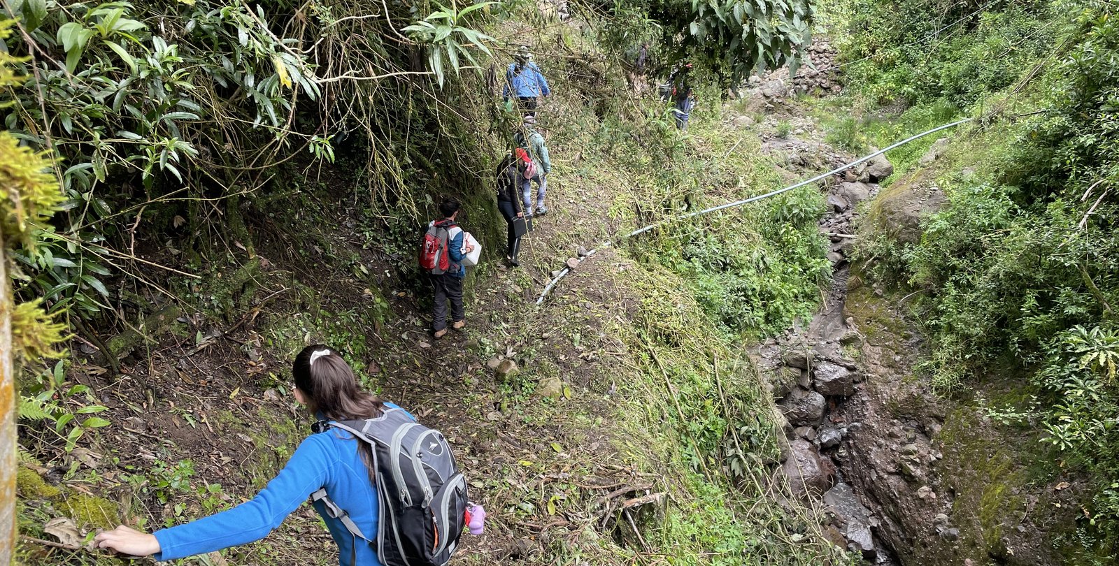 Members of the project team hike alongside a ravine
