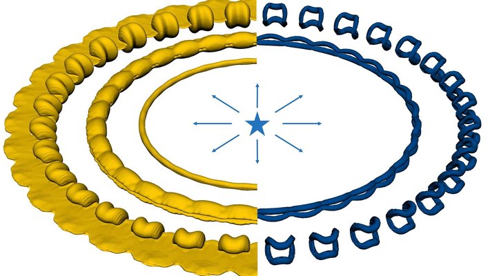 The simulation shows the shape of the gas cloud on the left and the vortices, or regions of rapidly rotating flow, on the right.