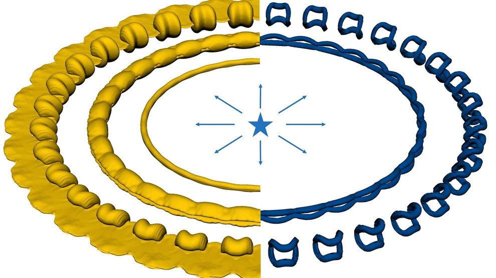 The simulation shows the shape of the gas cloud on the left and the vortices, or regions of rapidly rotating flow, on the right.
