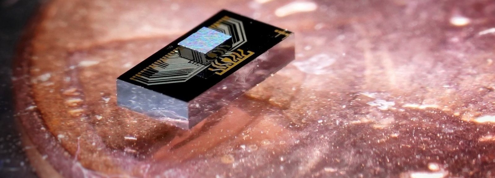 Electronic/Photonic Chip