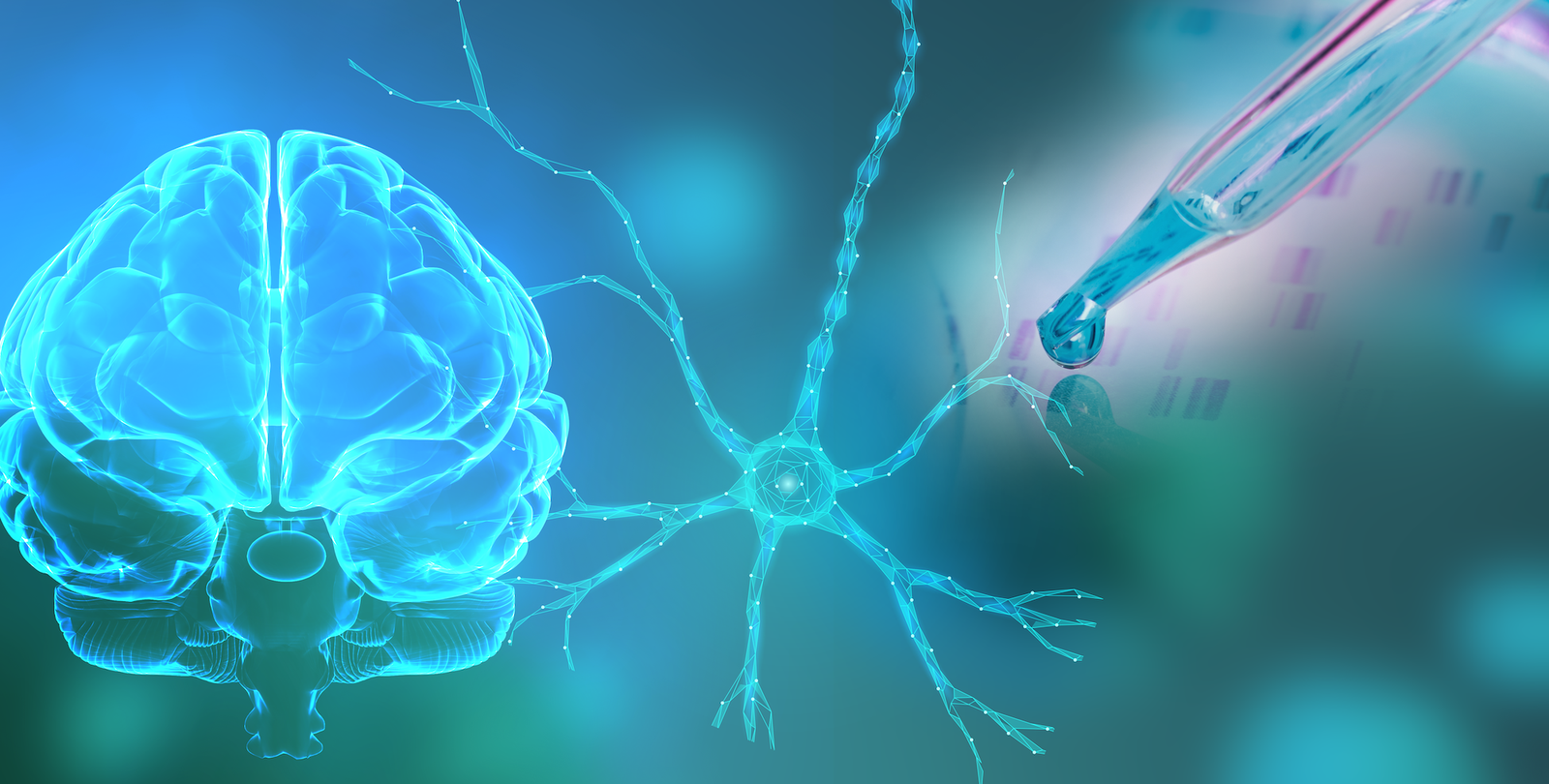 Image of brain and neuron