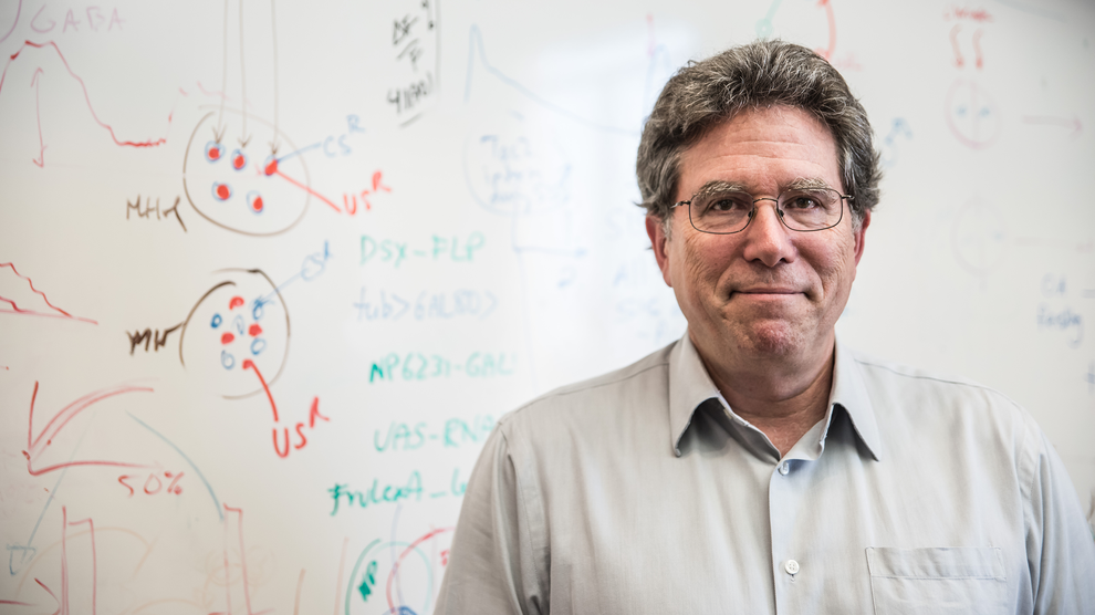 David Anderson stands by a white board with drawings.
