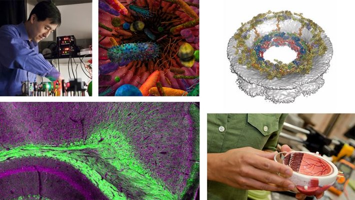 Merkin-Collage-768x432