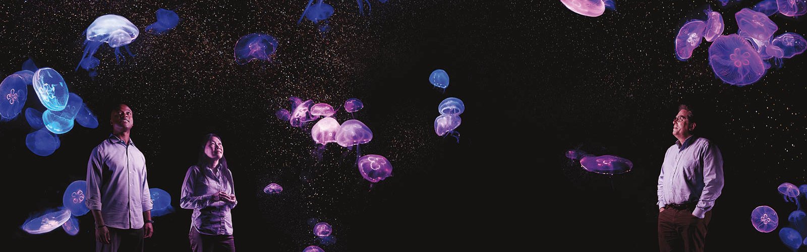 Caltech faculty surrounded by jellyfish