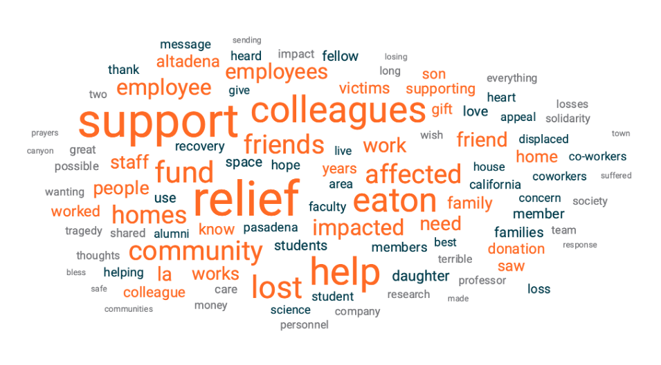 Word cloud for relief fund