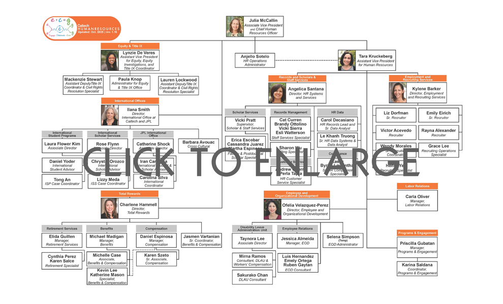 HR Reporting Structure
