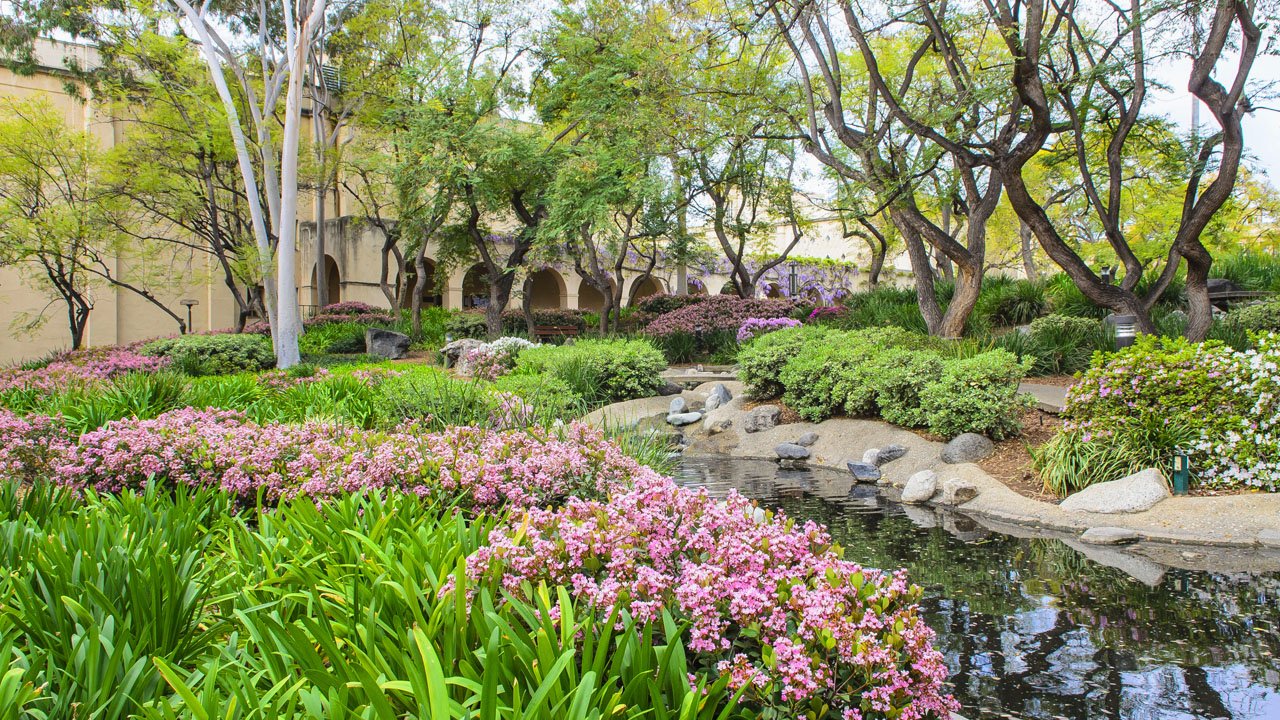 Throop Pond