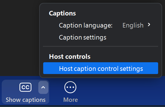 Zoom-ShowCaptions