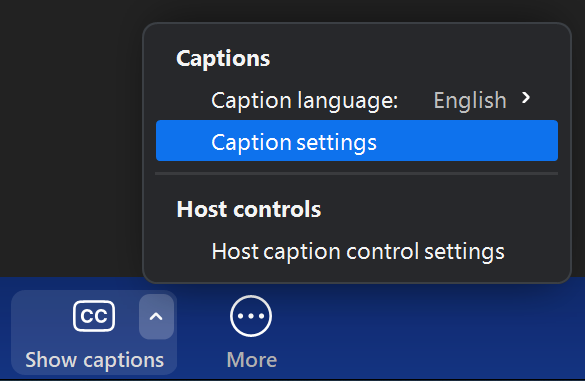 ZoomUser-CaptionSettings