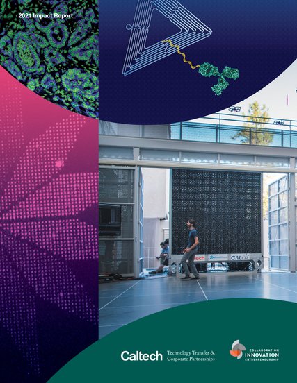 FY21 Impact Report