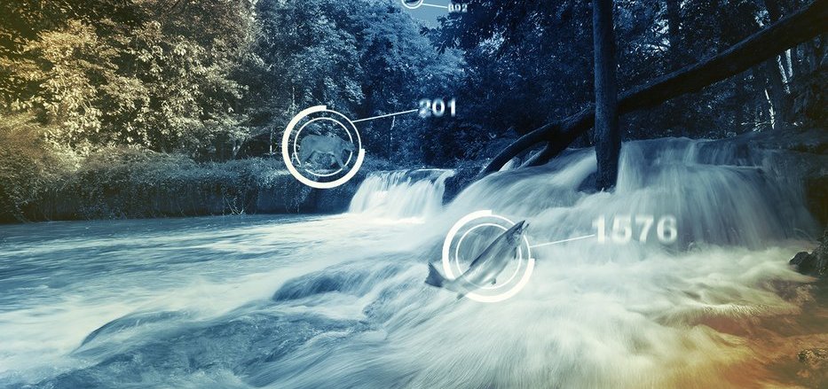 Machine Learning for Conservation