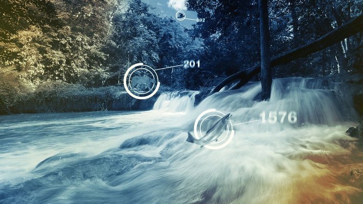Machine Learning for Conservation