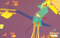 2D heterostructure made to apply a gate voltage to 2D WSe2 to study its voltage-dependent optical properties