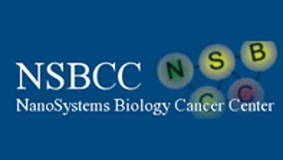 NSBCC logo