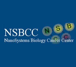 NSBCC logo