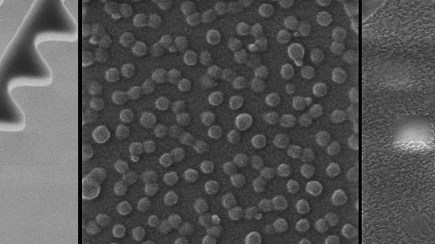 images from under a microscope