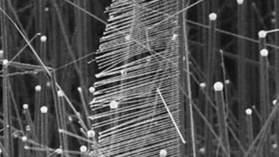 nurturing nanoscience grey image