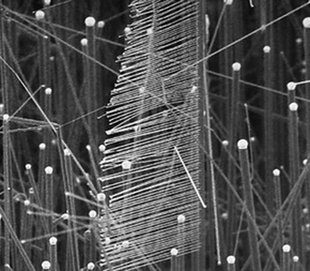nurturing nanoscience grey image