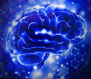 blue image of a brain